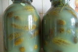 Соленые огурцы без уксуса на зиму