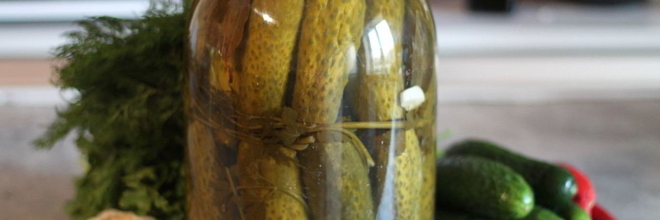 Соленые огурцы в банке на зиму