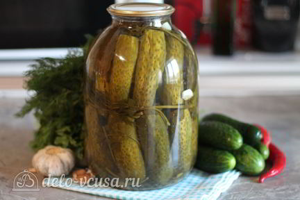 Соленые огурцы в банке на зиму