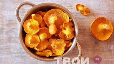 сушеные грибы