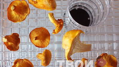 сушеные грибы