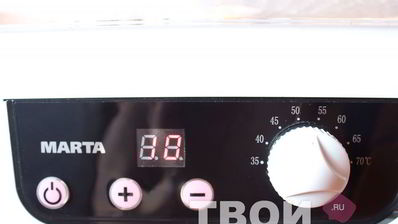 сушеные грибы