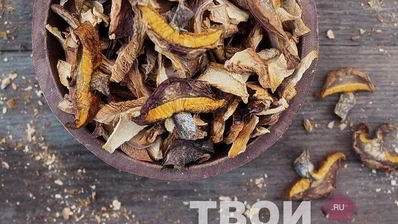 сушеные грибы