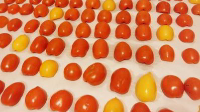 вяленые помидоры на зиму