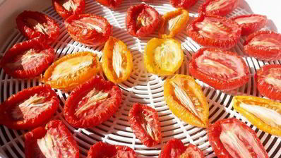 вяленые помидоры на зиму