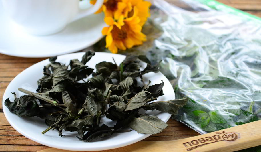 Рецепт заготовки мяты на зиму