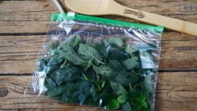 заготовка мяты на зиму