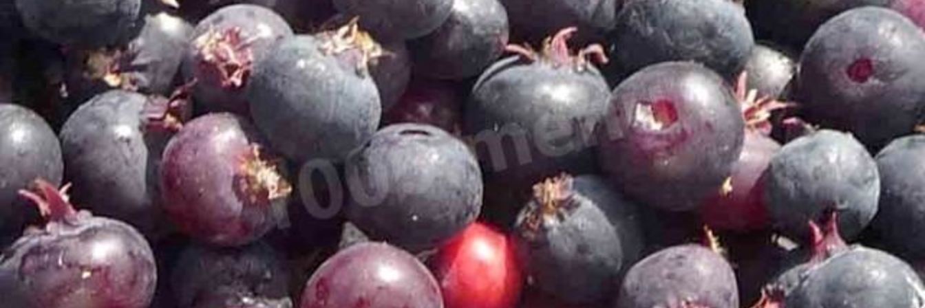 Заготовки ирга на зиму