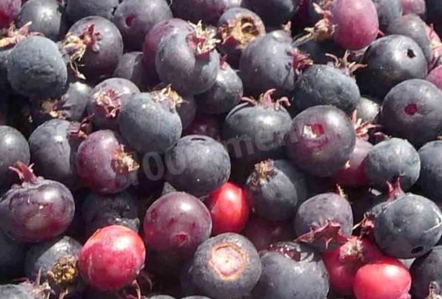 Заготовки ирга на зиму