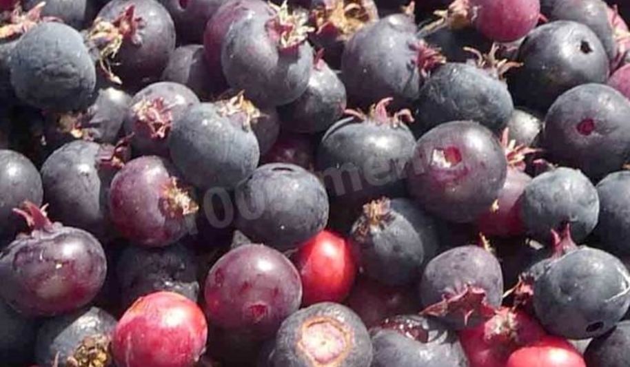 Рецепт заготовок ирга на зиму