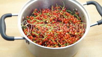 желе из красной смородины на зиму