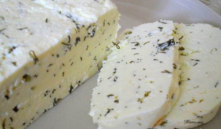 Рецепт адыгейского сыра с укропом