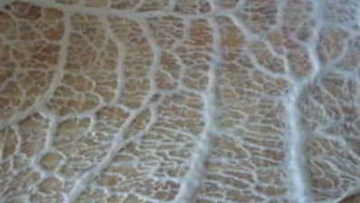 домашняя колбаса в свиной сетке