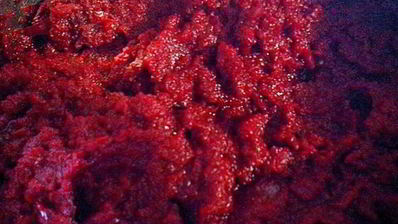 свекольная икра