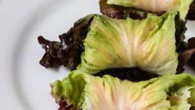 овощные рулетики