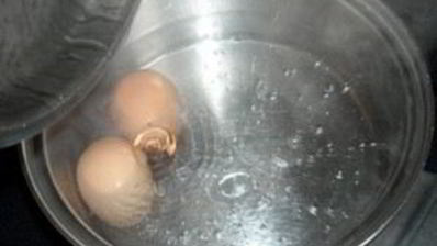 рулетики из говядины с сыром