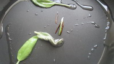 рулетики из свинины в ветчине с пармезаном