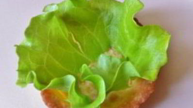 тарталетки праздничные