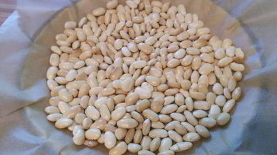 ревеневый тарт с франжипаном