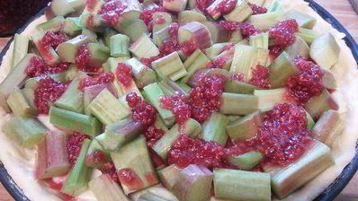 ревеневый тарт с ванильным пудингом и штройзелем