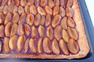 Сливовый тарт на творожном тесте