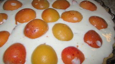 тарт абрикосовый кисленький