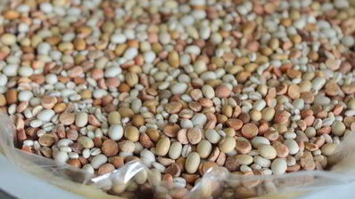 тарт черника-лаванда