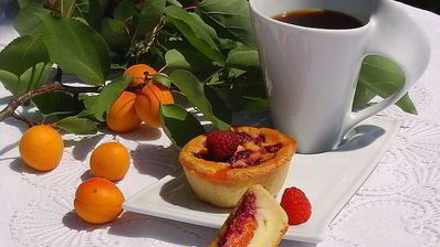 творожные заливные корзиночки с абрикосами и малиной