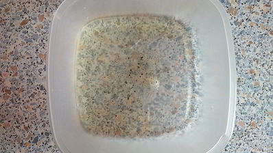 яичница на облаке