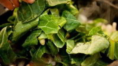 яичница с брынзой