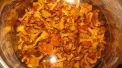 яичница с лисичками