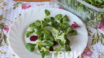 жареный сыр