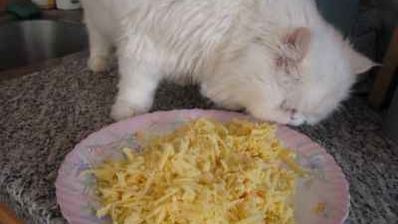 жюльен по-русски